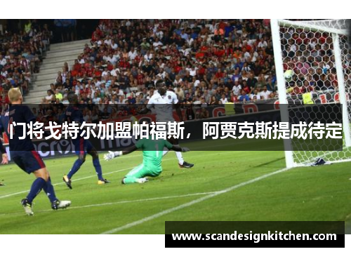 门将戈特尔加盟帕福斯，阿贾克斯提成待定